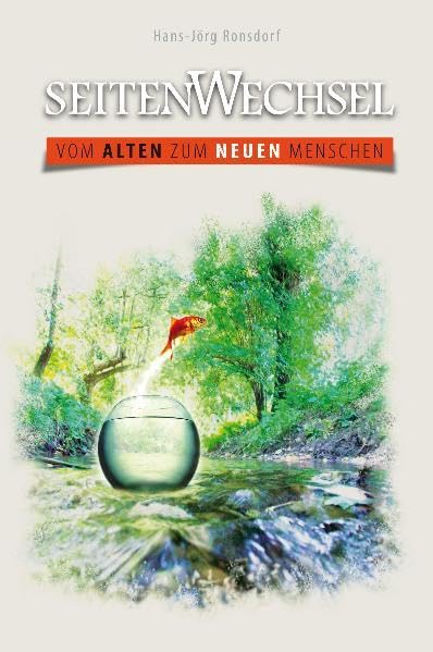 Buchcover: Seitenwechsel